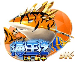 图片报：多特提拔16岁中场卡巴进U23，新赛季可能完成德甲首秀